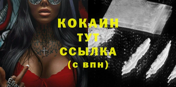 молекула духа Медвежьегорск