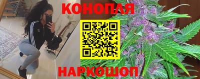 прущие грибы Жуковский