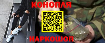 прущие грибы Жуковский