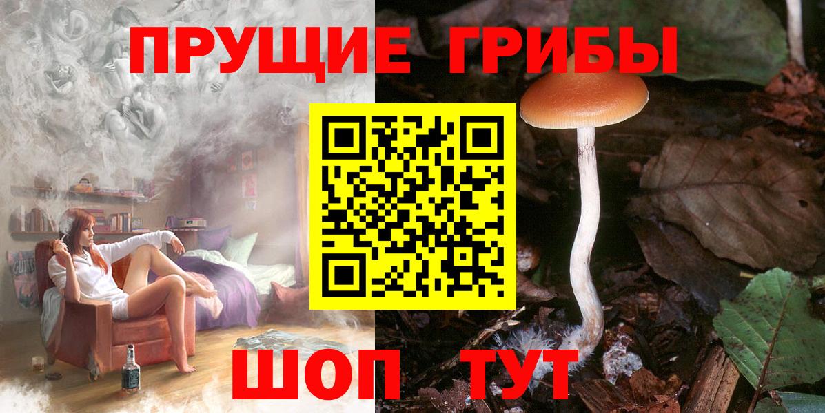 Псилоцибиновые грибы Psilocybine cubensis  Минеральные Воды 
