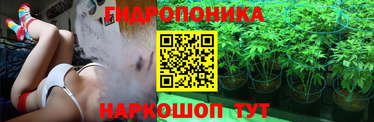 Шишки марихуана Ganja Минеральные Воды